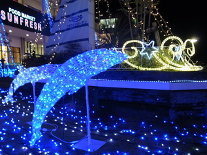 クラスポ蒲郡(イルカ)